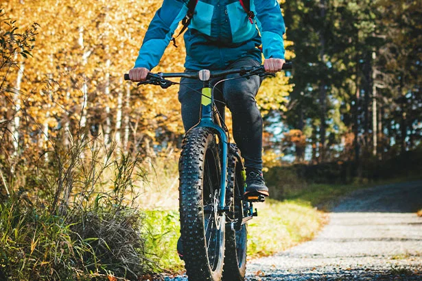 bicicletta
