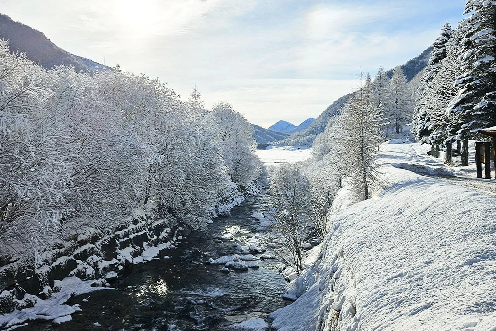 paesaggio innevato
